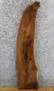Thumbnail for Salvaged Live Edge Black Walnut Accent/Side Table Top Slab 1389