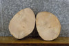 Thumbnail for 2- Live Edge Ash Reclaimed Round Cut Display Stand Base Slabs 13901-13902