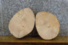 Thumbnail for 2- Live Edge Ash Reclaimed Round Cut Display Stand Base Slabs 13901-13902