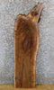 Thumbnail for Black Walnut Salvaged Live Edge Coffee/Sofa Table Top Slab 1390