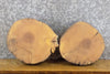 Thumbnail for 2- Reclaimed Round Cut Ash Live Edge Centerpiece Wood Slabs 13913-13914