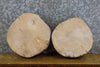 Thumbnail for 2- Natural Edge Round Cut Ash Rustic Clock Plaque Slabs 13915-13916