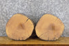 Thumbnail for 2- Natural Edge Round Cut Ash Reclaimed Display Stand Base Slabs 13919-13920