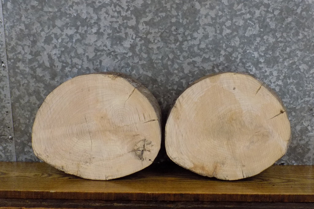 2- Round Cut Natural Edge Rustic Ash Craft Pack Wood Slabs 13921-13922