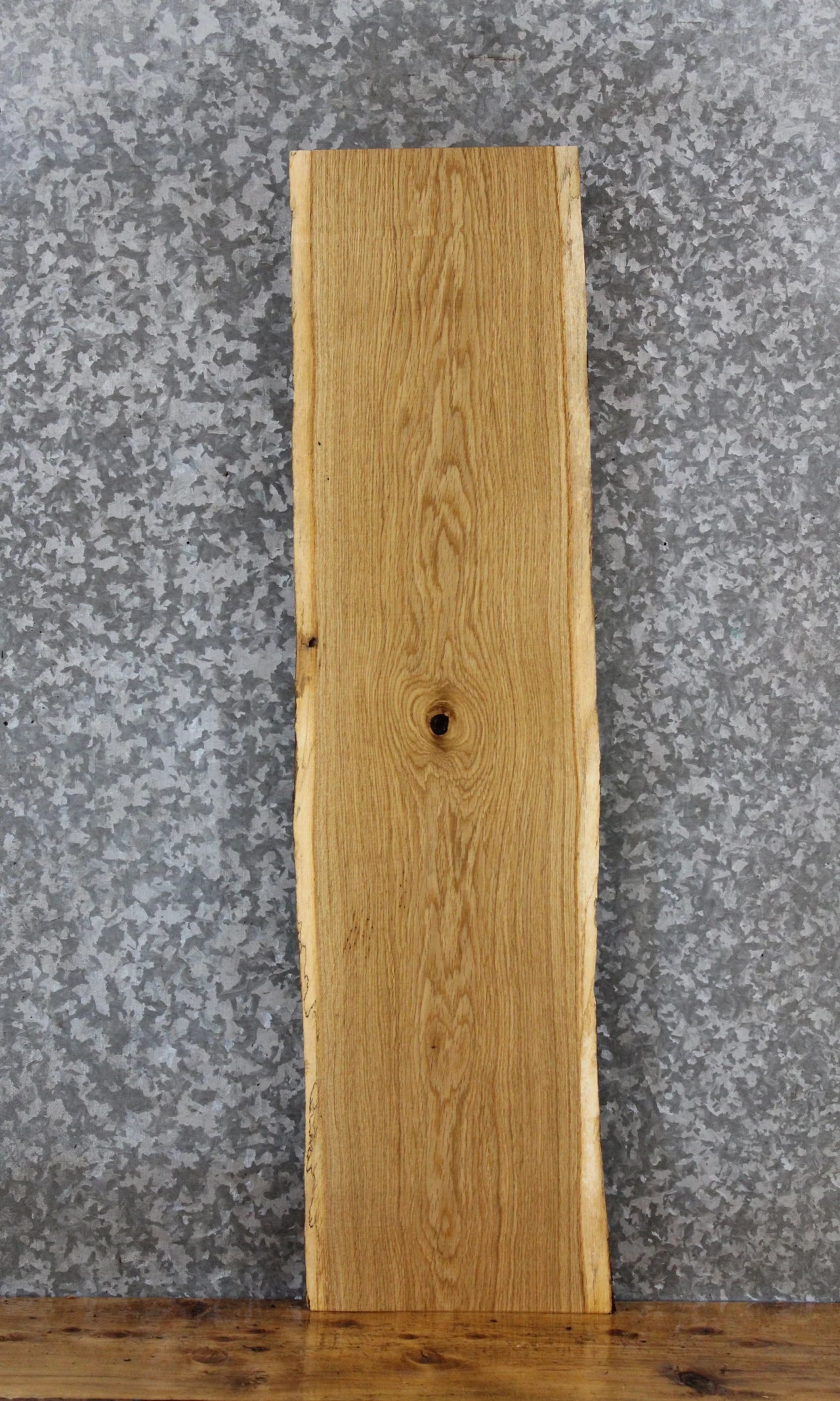 Live Edge White Oak Taxidermy Mount/Side Table Top 1392