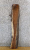 Thumbnail for Black Walnut Rustic Live Edge Floating Vanity Wood Slab 1395