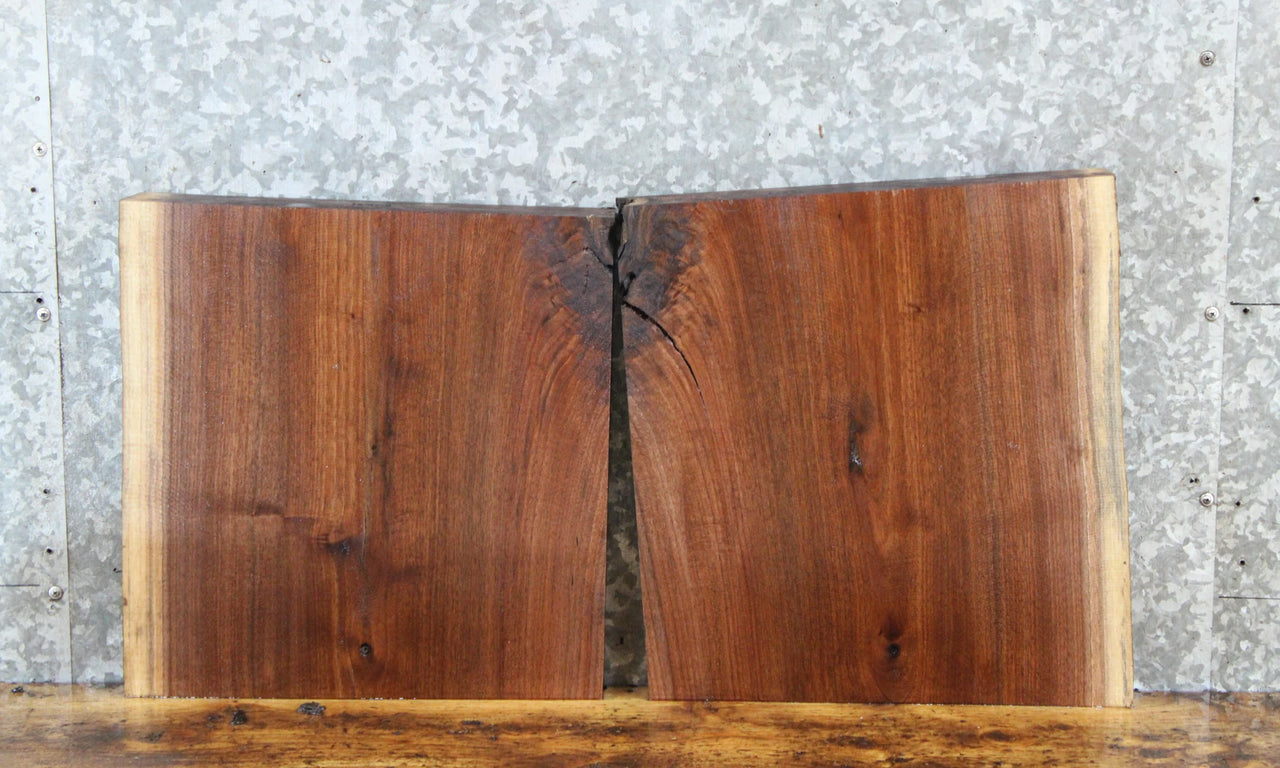 2- Live Edge Black Walnut End Table Top/Charcuterie Board Slabs 13968-13969