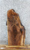 Thumbnail for Walnut Live Edge Coffee Table/End Table Top 1398