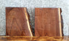 Thumbnail for 2- Live Edge Black Walnut Charcuterie Boards/End Table Top Slabs 13993-13994