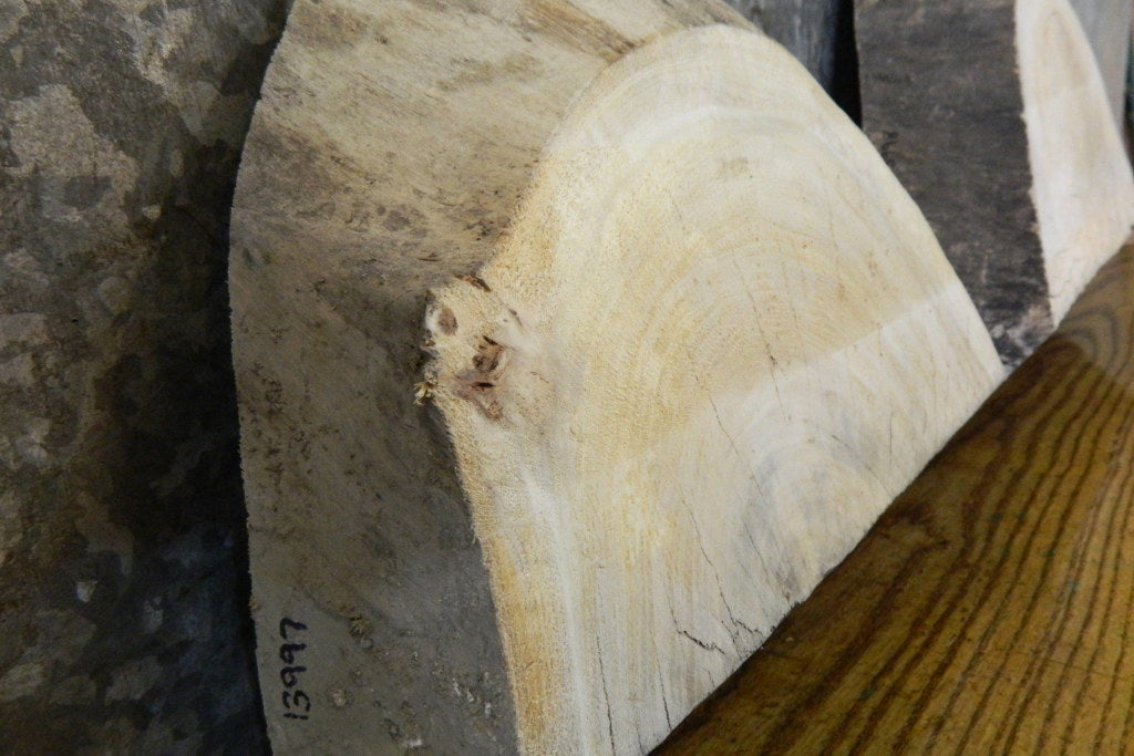 2- Partial Live Edge Round Cut Ash Craft Pack 13997-13998