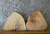 Thumbnail for 2- Partial Live Edge Round Cut Ash Craft Pack 13997-13998