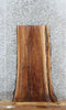 Thumbnail for Walnut Live Edge Bench/Coffee Table Slab 1399