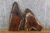 Thumbnail for 2- Black Walnut Oval Cut Reclaimed Live Edge Craft Pack Slabs 14004-14005