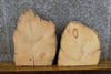 Thumbnail for 2- Partial Live Edge Pine Rustic Oval Cut Craft Pack Wood Slabs 14008-14009