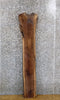 Thumbnail for Rustic Live Edge Black Walnut Accent/Side Table Top Wood Slab 1401