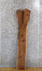 Thumbnail for Rustic Live Edge Black Walnut Accent/Side Table Top Wood Slab 1401