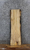 Thumbnail for Spalted Maple Live Edge Charcuterie/Shelf Slab 1401