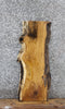 Thumbnail for White Oak Live Edge Bench/Console Table/Taxidermy Board 1403
