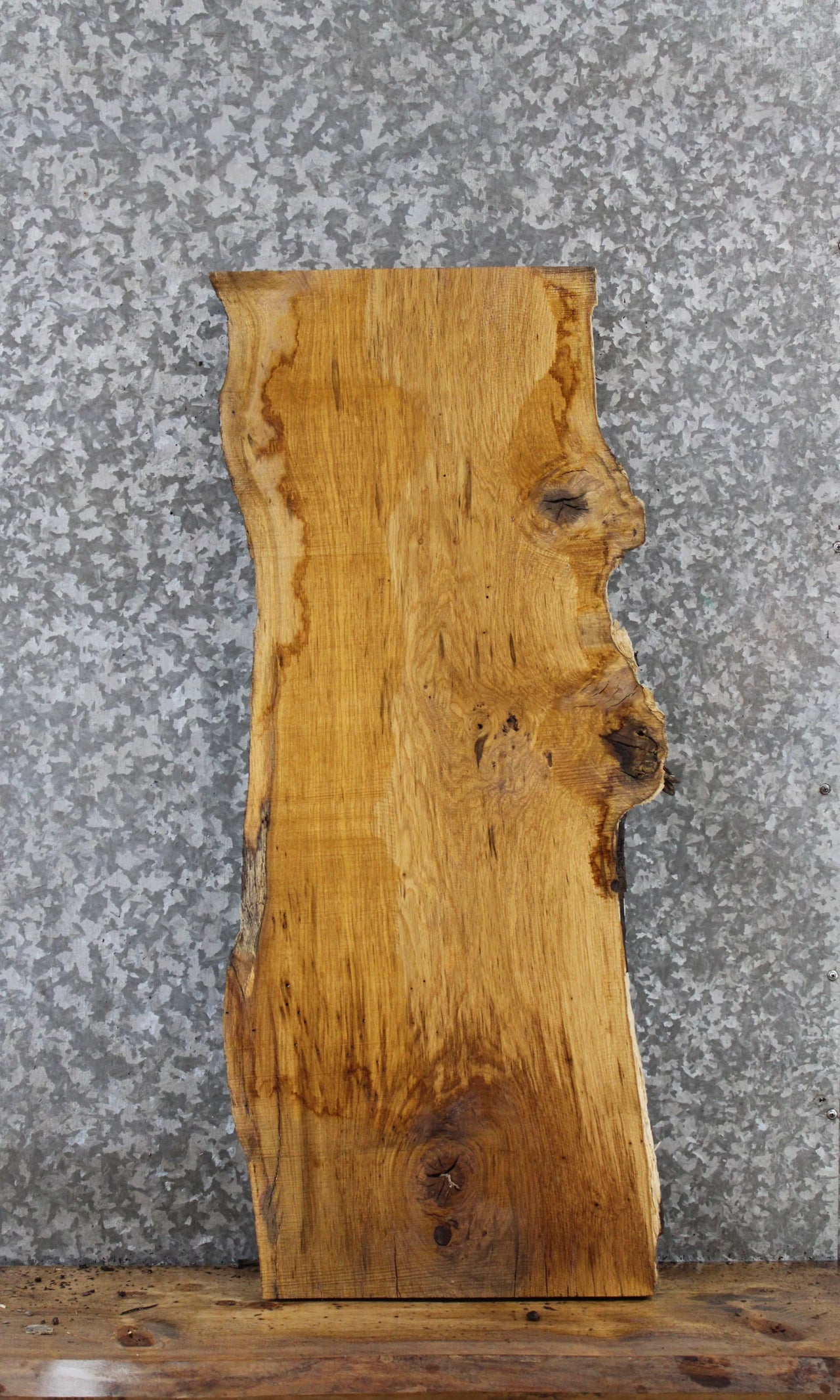 White Oak Live Edge Bench/Console Table/Taxidermy Board 1403