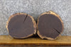Thumbnail for 2- Round Cut Live Edge Rustic Black Walnut Craft Pack Wood Slabs 14043-14044
