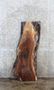 Thumbnail for Natural/Live Edge Black Walnut Coffee Table/Desk Slab 1404