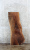 Thumbnail for Natural/Live Edge Black Walnut Coffee Table/Desk Slab 1404