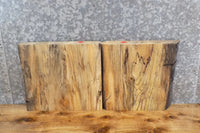 Thumbnail for 2- Live Edge Spalted Ash Taxidermy Mount/Accent Table Top Slabs 14050-14051