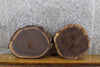 Thumbnail for 2- Round Cut Live Edge Salvaged Black Walnut Craft Pack Slabs 14054-14055