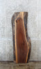 Thumbnail for Live Edge Black Walnut Vanity Shelf/Coffee Table Slab 1405