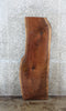Thumbnail for Live Edge Black Walnut Vanity Shelf/Coffee Table Slab 1405