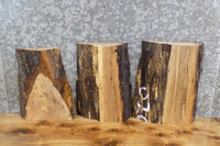 Thumbnail for 3- Live Edge Spalted Maple Craftwood/Wall Art Slabs 14063-14065