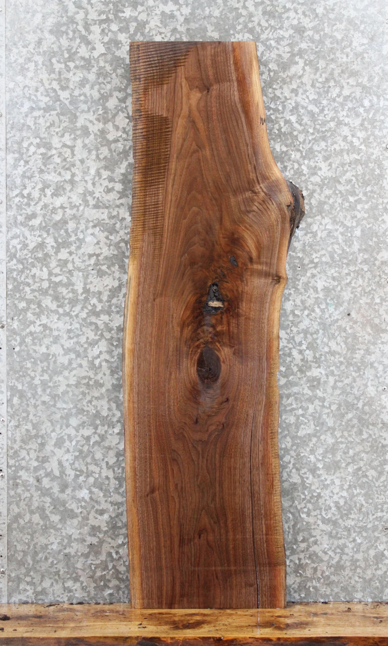 Black Walnut Live/Natural Edge Taxidermy Mount/Coffee Table 1406