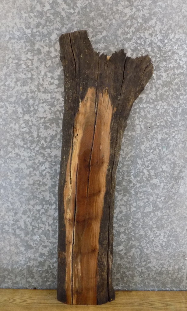 Black Walnut Salvaged Live Edge Accent/Side Table Top Slab 1407