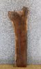 Thumbnail for Black Walnut Salvaged Live Edge Accent/Side Table Top Slab 1407