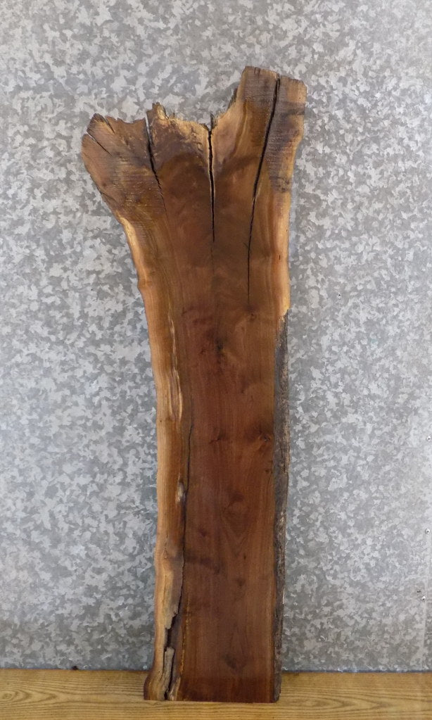 Black Walnut Salvaged Live Edge Accent/Side Table Top Slab 1407
