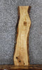 Thumbnail for Live Edge Ash Bench Seat/Side Table Slab 1407