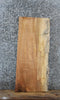 Thumbnail for Spalted Maple Live Edge End Table/Shelf/Bench Slab 1408