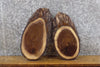 Thumbnail for 2- Black Walnut Live Edge Oval Cut Rustic Craft Pack Wood Slabs 14094-14095