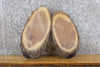Thumbnail for 2- Black Walnut Live Edge Oval Cut Rustic Craft Pack Wood Slabs 14094-14095