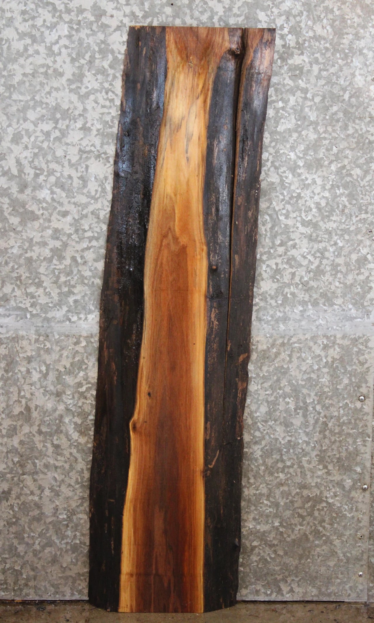 Black Walnut Live Edge Wall Shelf 1410