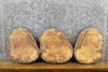 Thumbnail for 3- Reclaimed Round Cut Live Edge Maple Centerpieces/Craft Pack 14117-14119