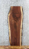 Thumbnail for Live Edge Black Walnut Coffee/Sofa Table Top Slab 1411