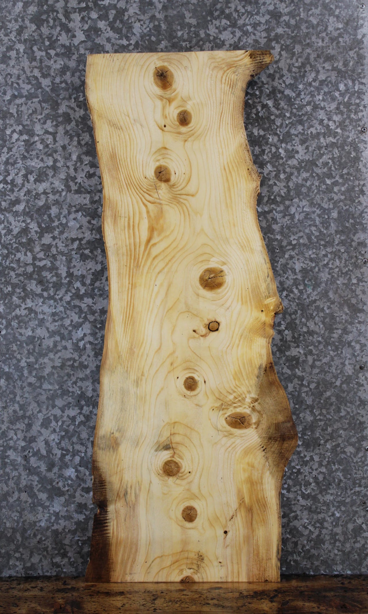 Live Edge Knotty Pine Side Table Slab/Taxidermy Mount 1411