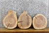 Thumbnail for 3- Round Cut Reclaimed Live Edge Black Walnut Craft Pack Slabs 14129-14131