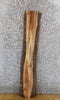 Thumbnail for Rustic Live Edge Black Walnut Floating Vanity/Shelf Wood Slab 1413