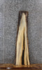 Thumbnail for Maple Live Edge Taxidermy Wood Slab, Large Void, Epoxy Project 1413