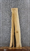 Thumbnail for Maple Live Edge Taxidermy Wood Slab, Large Void, Epoxy Project 1413