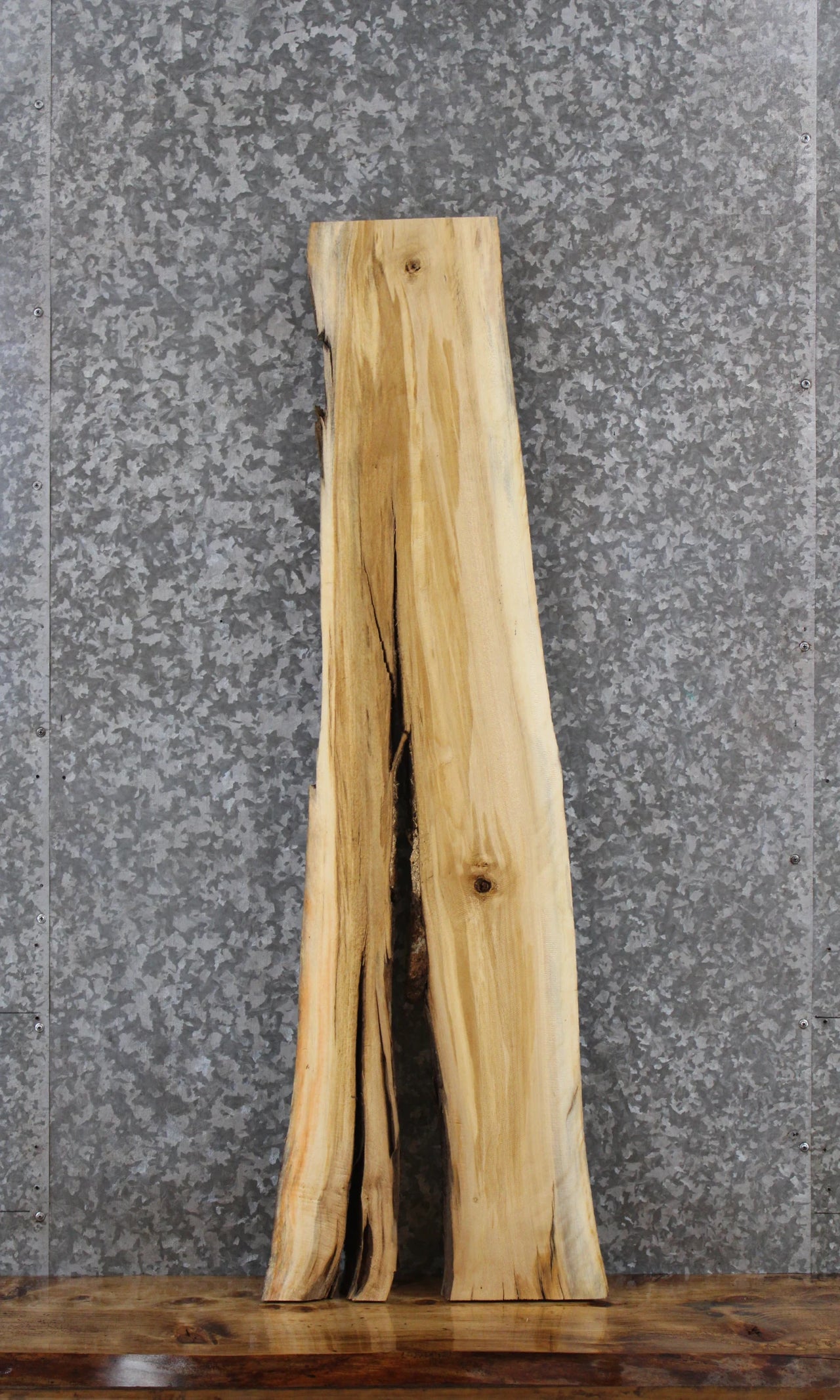 Maple Live Edge Taxidermy Wood Slab, Large Void, Epoxy Project 1413