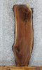 Thumbnail for Live Edge Black Walnut Side/Console Table Top Slab 1414
