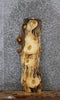 Thumbnail for Knotty Pine Live Edge Taxidermy Mount/Charcuterie Board 1418